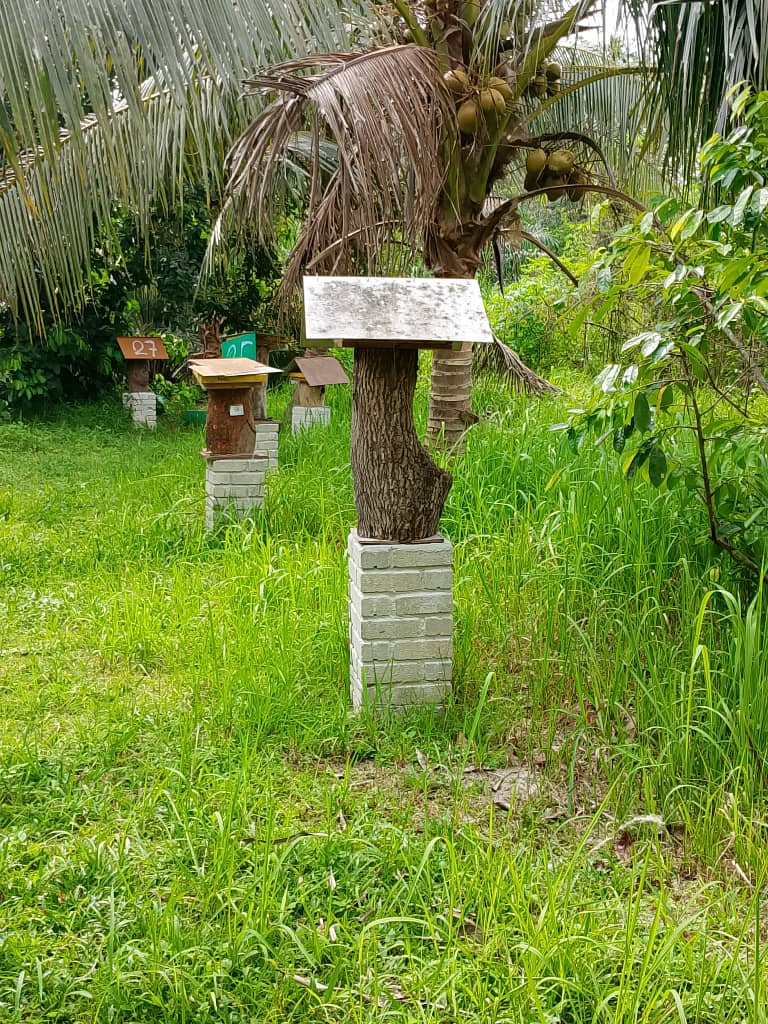 Gambar Projek PENGELUARAN MADU KELULUT KOMUNITI KAMPUNG ULU SEPETANG