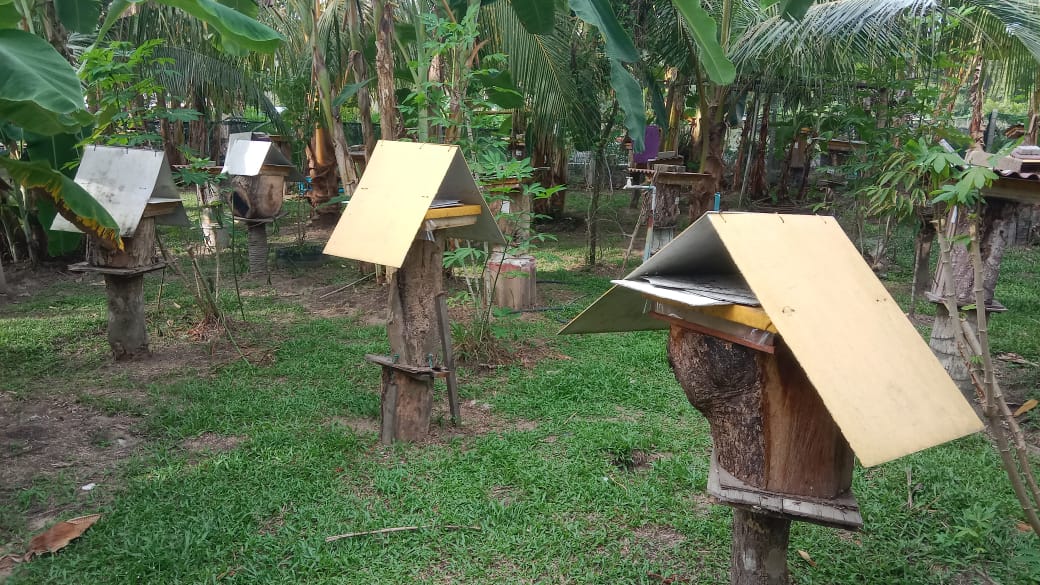 Gambar Projek MADU KELULUT GUNUNG SEMANGGOL