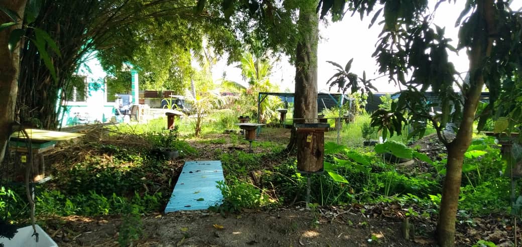 Gambar Projek PROJEK MADU KELULUT KAMPUNG ALOR KUBU